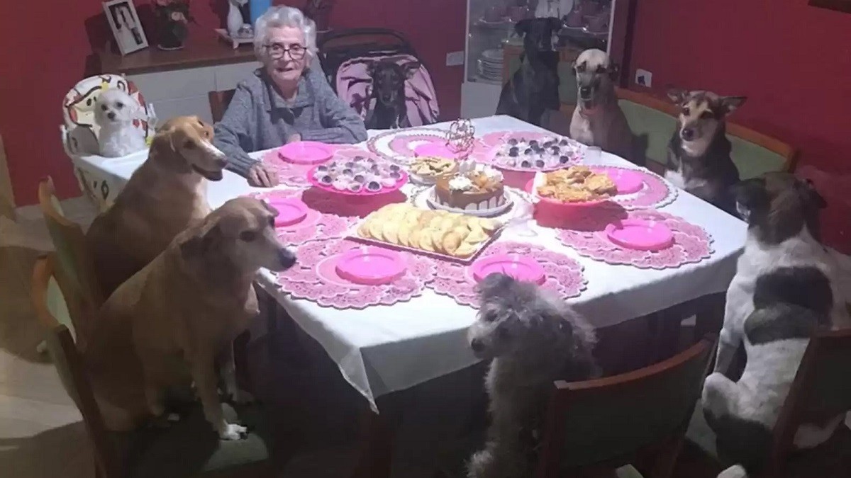 Zu Marias 89. Geburtstag dürfen ihre 10 Hunde nicht fehlen – und sie sitzen alle brav mit am Tisch