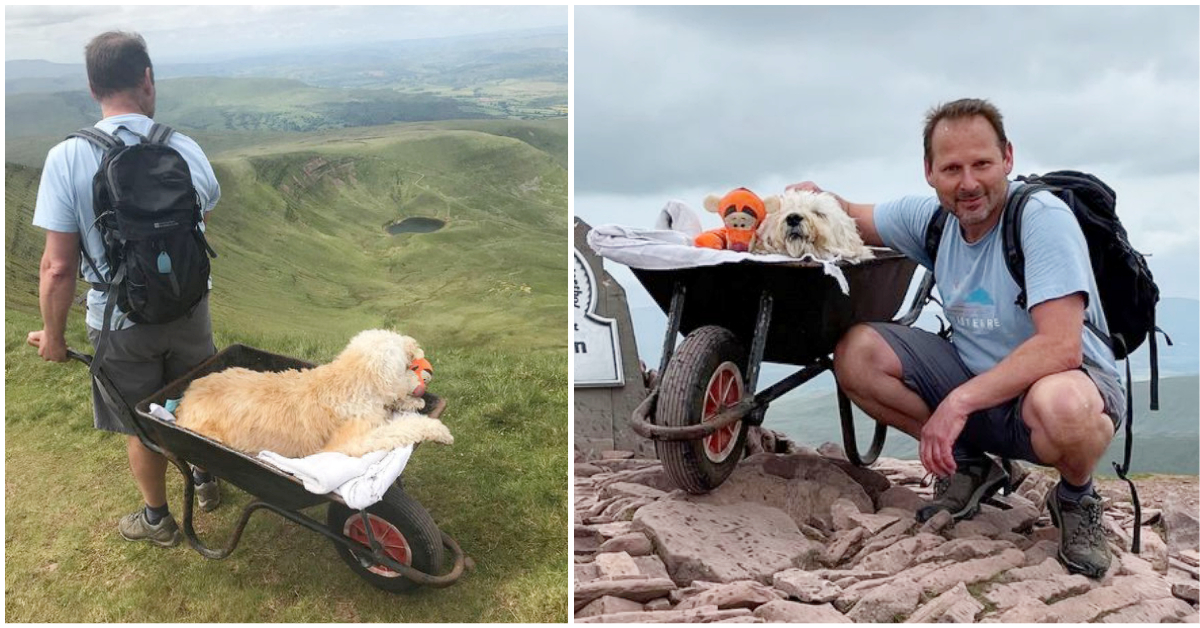 Er wollte ein letztes Abenteuer mit seinem sterbenden Hund – also schob er ihn in einer Schubkarre auf den Berg