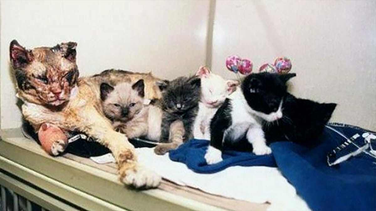 Sie rannte fünfmal ins Feuer – für ihre Kinder