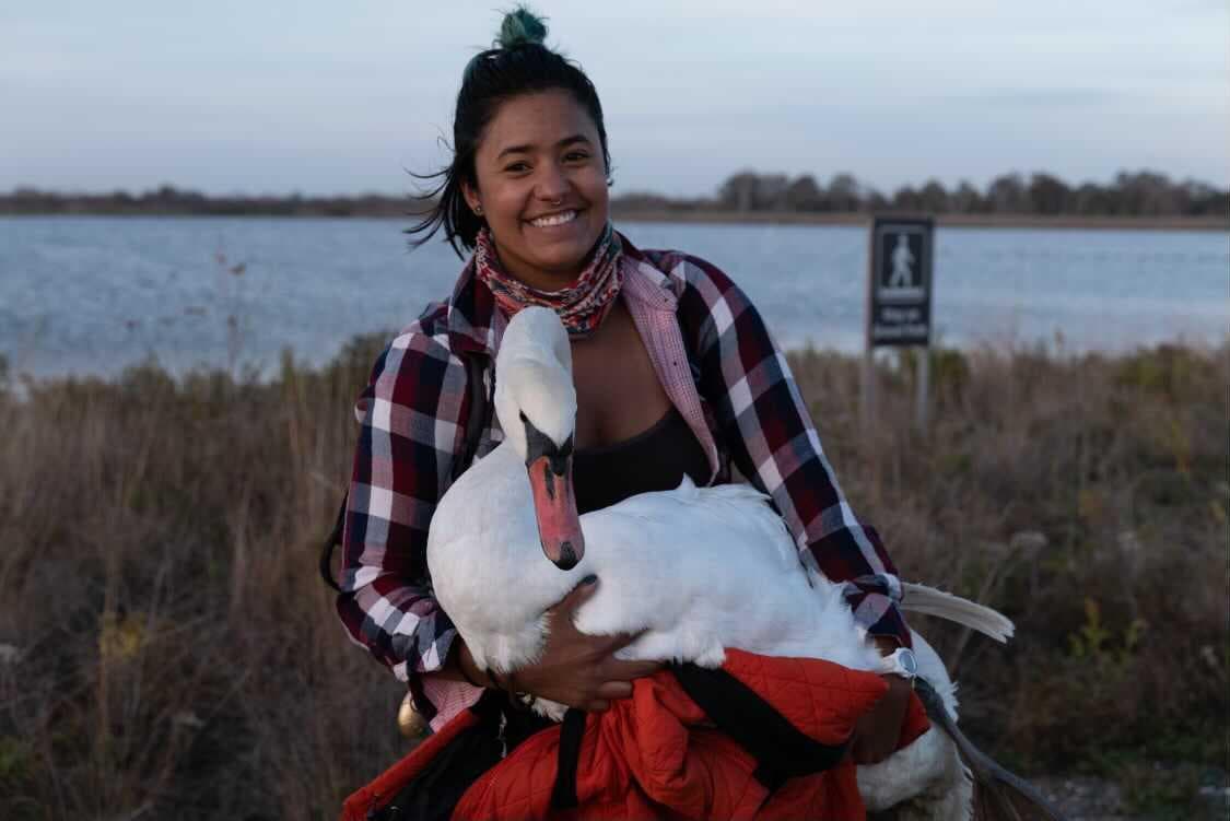 Sie fand einen kranken Schwan – und trug ihn kilometerweit und quer durch New York zur Tierklinik